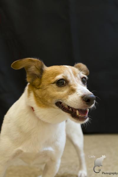 Baxter