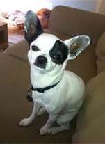 Spanky