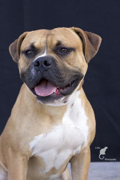 Rosko