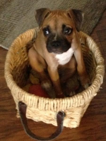 Maggie