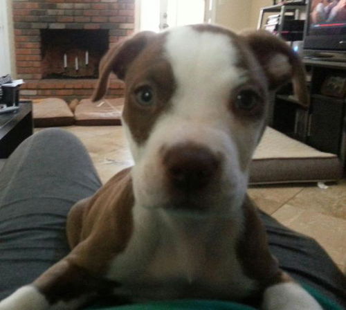 Charley