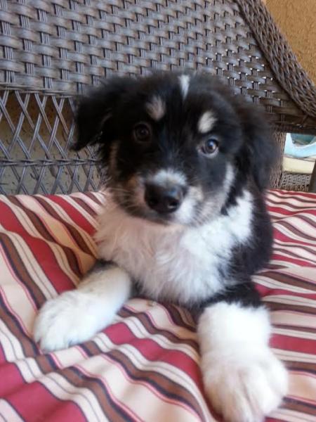 Winston
