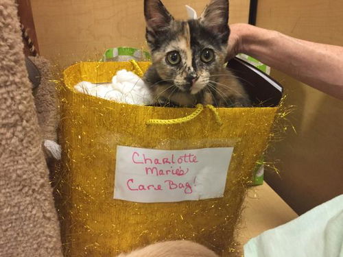 Charlotte Marie