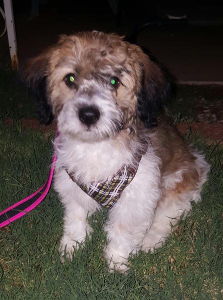 Charlie