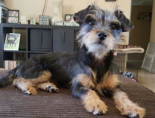 Roxie