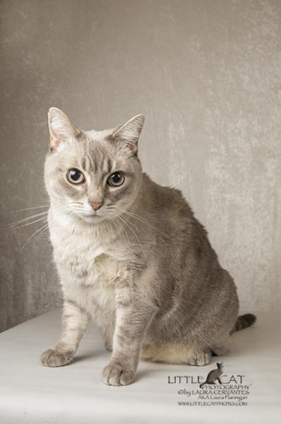 Sophie
