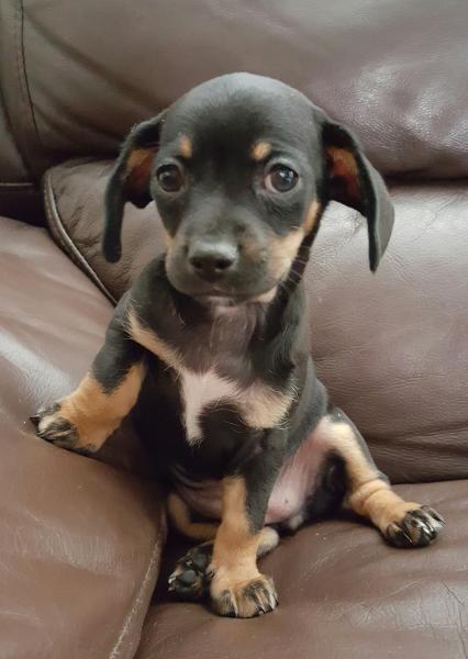 Josephine