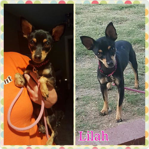 Lilah