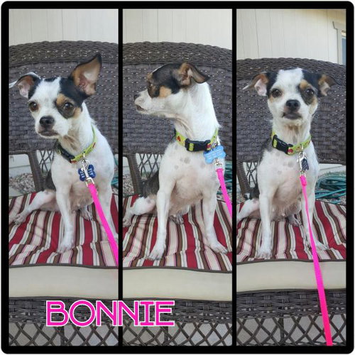 Bonnie