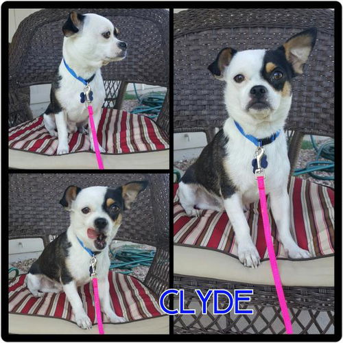 Clyde