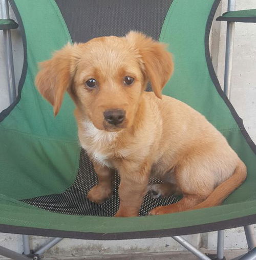 Charlie