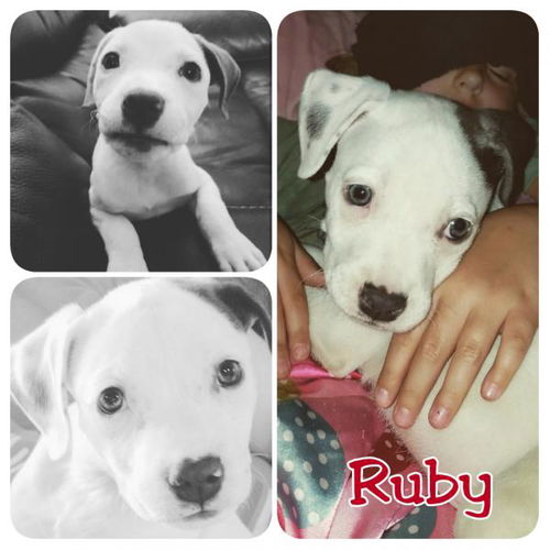 Ruby