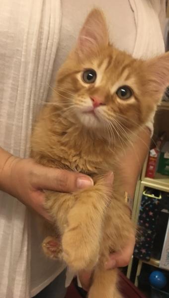 Stanley