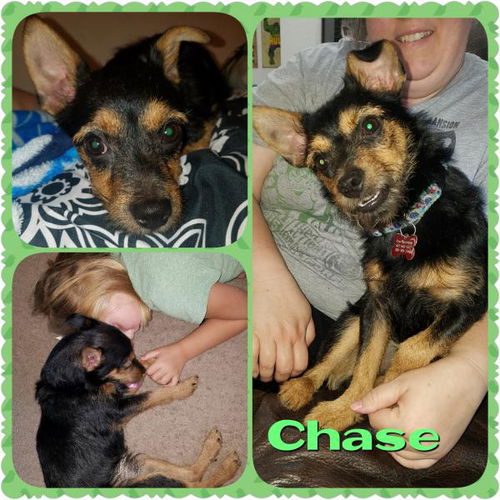 Chase