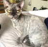 Prudence