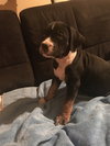 Ben