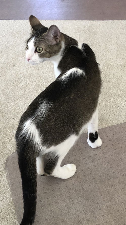 Rosie