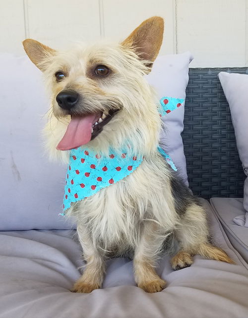 Duncan
