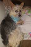 Duncan