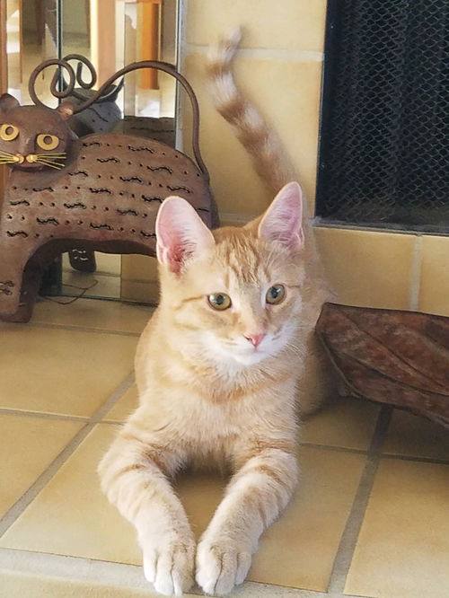 Colby