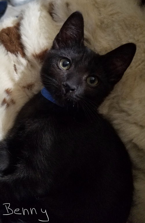 Benny