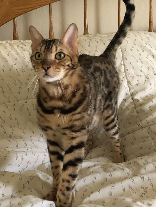 Charlie