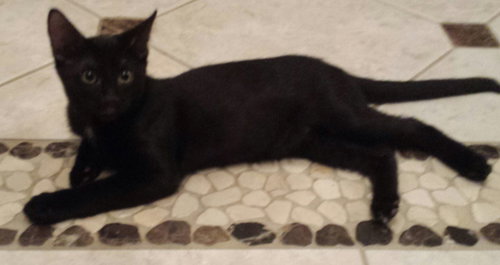 Binx