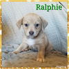 Ralphie