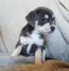 Ruthie