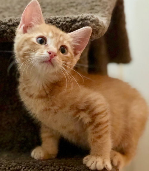 Charlie