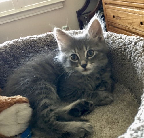 Winnie