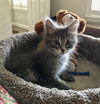 Winnie