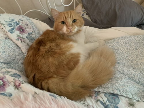 Charlie