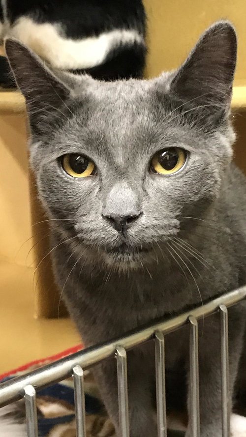 Bonnie