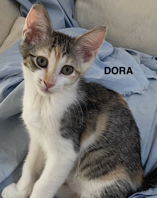 Dora