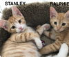 Stanley