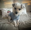 Benji