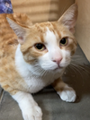 Linus