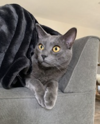 Leo