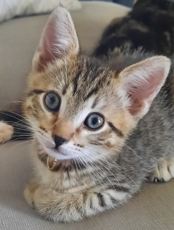 Charlie