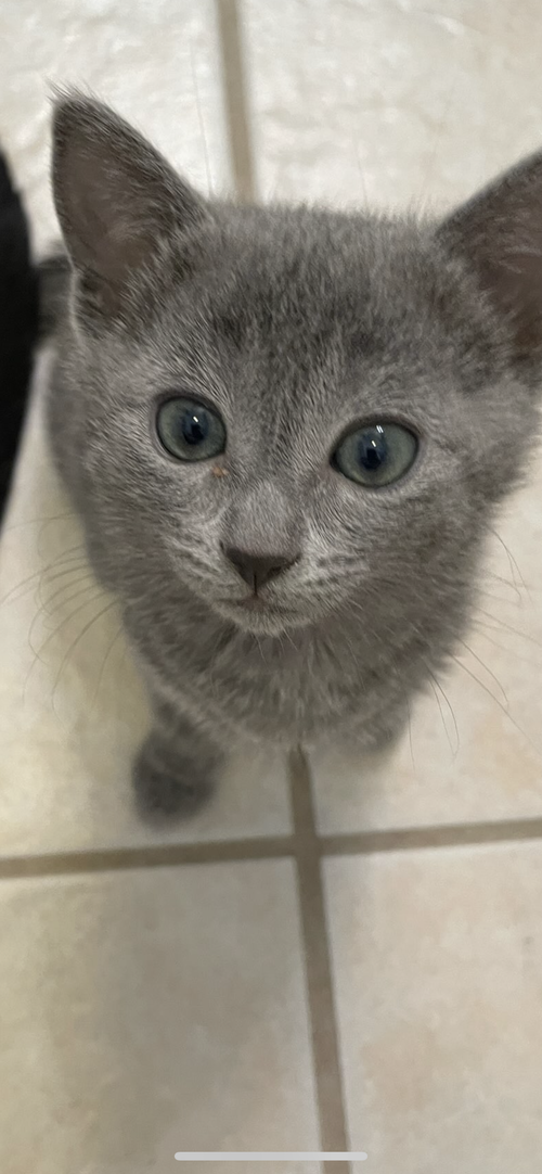 Murphy