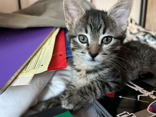 Hermione