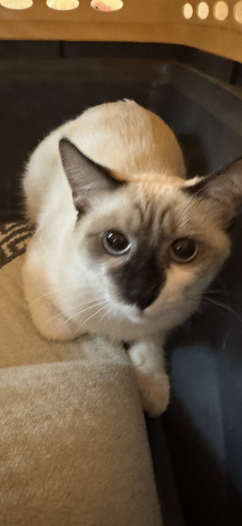 Abby