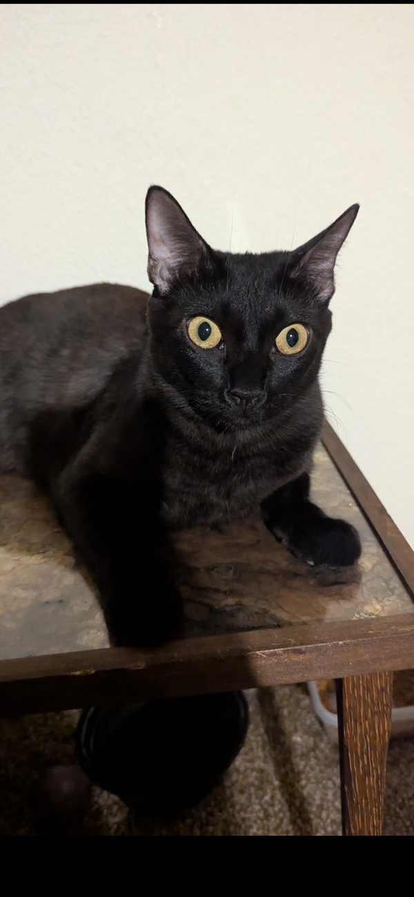Luna