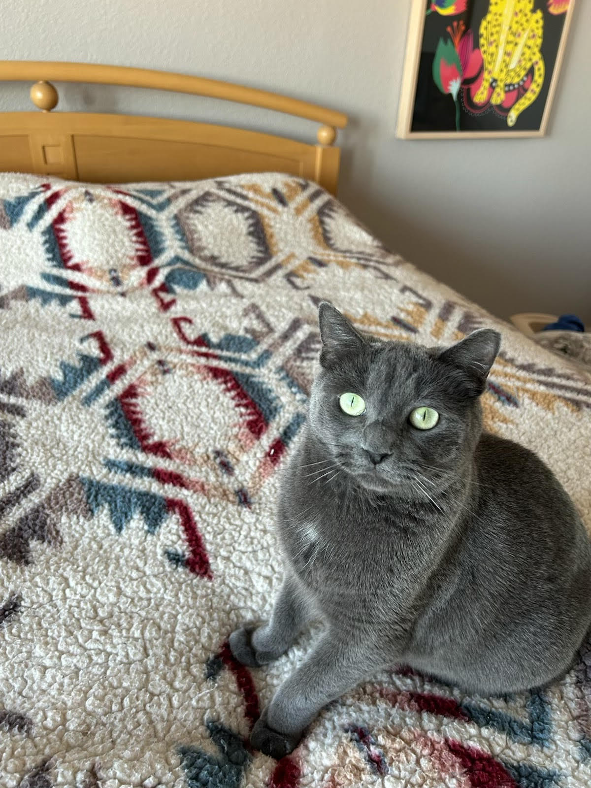 Tasha Image