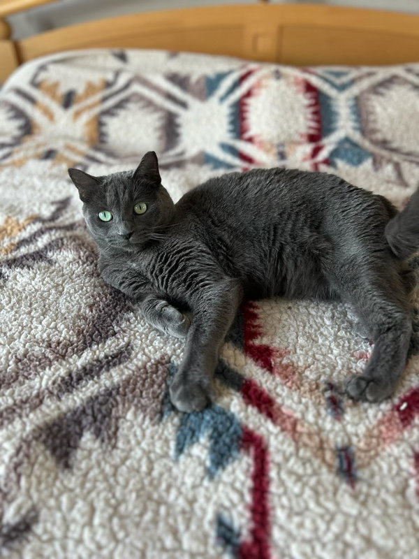 Tasha