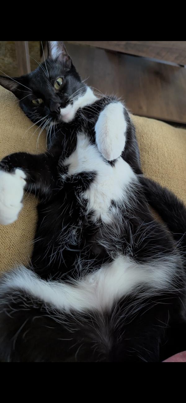 Tux