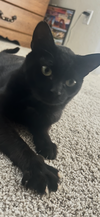 Salem