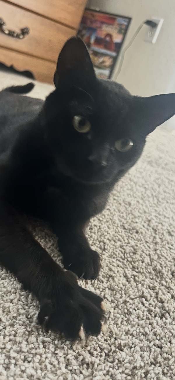 Salem
