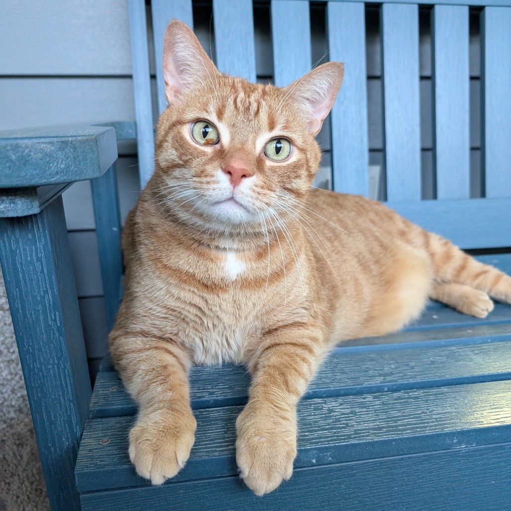 Roux